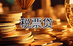 十堰税票贷
